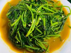 藏炒空心菜-五彩雪域藏餐馆