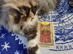 -好心里咨询Tarot塔羅