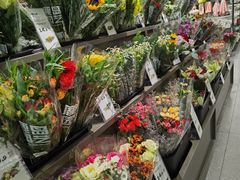 -鹿岛生活(熙地港店)
