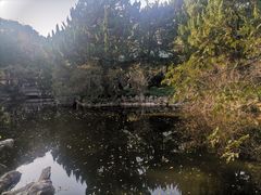 -叶家花园