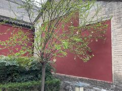 -西安市广仁寺
