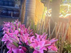 -园林美食城·本土农家菜(杨和镇店)