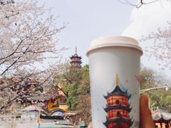 -鸡鸣赐茶(鸡鸣寺路店)