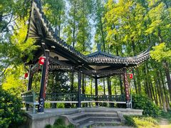 -江心屿景区