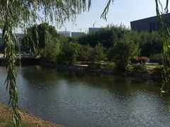-南京医科大学(江宁校区)