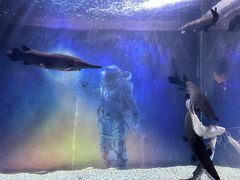 -常州海昌海洋探索馆