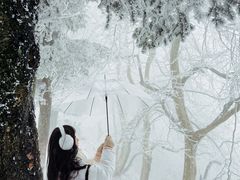 -庐山风景区花径公园