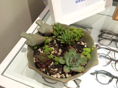 -天真蓝照相馆(中华广场店)