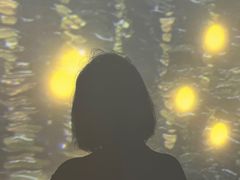 -天津梵高星空艺术馆(天河城旗舰店)