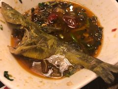 -聚乐城火锅(仁寿2023年餐饮名店)