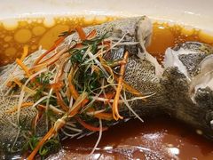 -皇朝尊会(龙之梦大酒店)