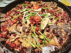 老板恋上鱼-老板恋上鱼(高新万达店)