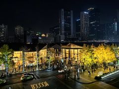 -成都尼依格罗酒店