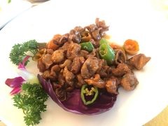 -荔城生鲜盛宴(番禺旗舰店)