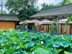 -三圣花乡旅游区