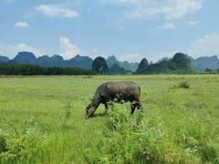 -Club Med地中海俱乐部·桂林度假村