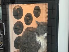 -瑞派宠物医院·犬猫全科·猫友好(宾水西道店)