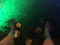 -宝丽金大酒店·洗浴中心