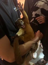 -Zoolung Zoolung动物主题公园(海信广场店)