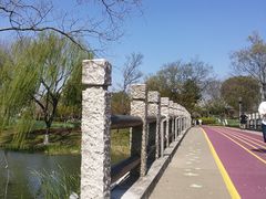 -尚贤河湿地