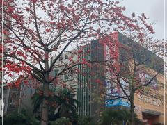 -金海马家居(海珠店)