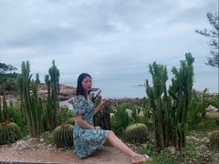 -广东惠东海龟国家级自然保护区