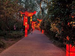 -洛阳市隋唐城遗址植物园