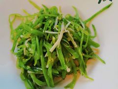 -席家花园(巨鹿花园店)