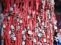 -多彩贵州城极地海洋世界