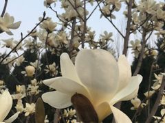 -首都师范大学(良乡校区)