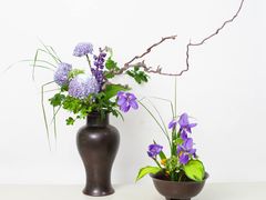 -荷兰布尔玛国际花艺学院