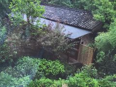 -乐领拈花溪·林涧食韵
