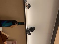 -觅唐MITONG(鸟巢店)