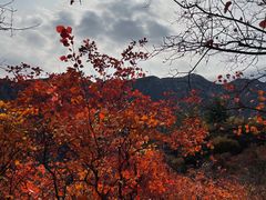 -周口店坡峰岭风景区
