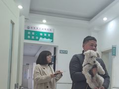 -派美特宠物医院·核磁CT·骨科肿瘤·疑难转诊(沈农禾丰店)