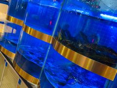 水产区-蛙一刀·麻椒鱼火锅(金仙桥店)