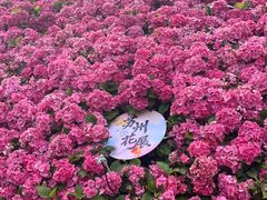 -苏州上方山国家森林公园