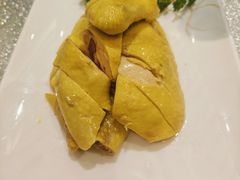 -松沪名灶·新上海菜(飞航吾悦广场店)