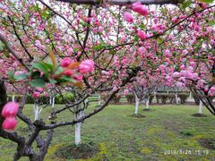 -白塘生态植物园