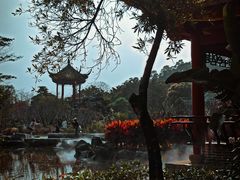 -顺峰山公园