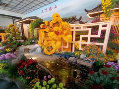 -杭州植物园