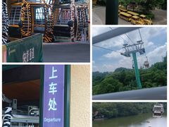 -广州长隆野生动物世界