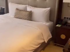 -西安唐隆国际酒店(大雁塔大唐不夜城店)