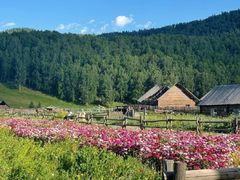 -新疆那拉提国家旅游度假区