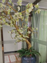 -芳朵美容养生SPA