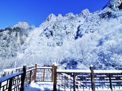 -青峰峡国家森林公园