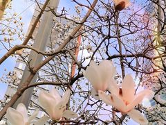 -人民广场