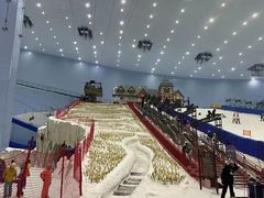 -广州热雪奇迹