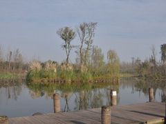 -白鹭湾湿地公园