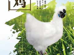 -金翠河烧鹅餐厅(解放碑时代广场店)
